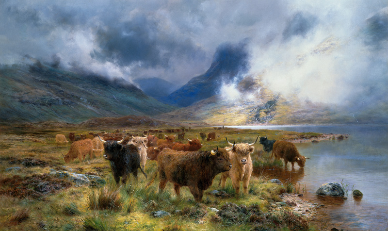 Highland cattles on the shore of the Tay od Louis Bosworth Hurt