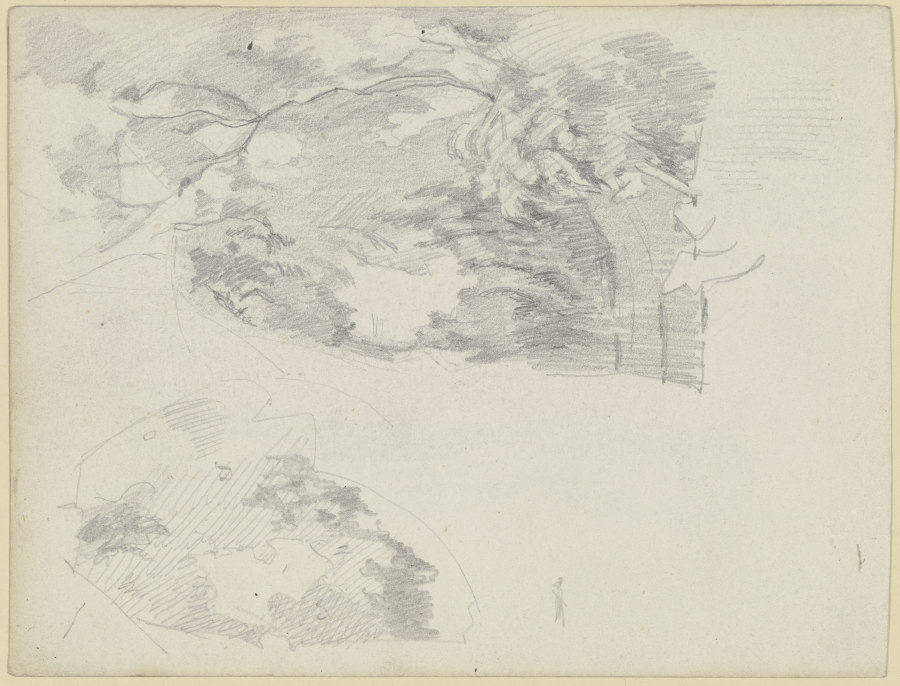 Tree sketch od Louis Eysen