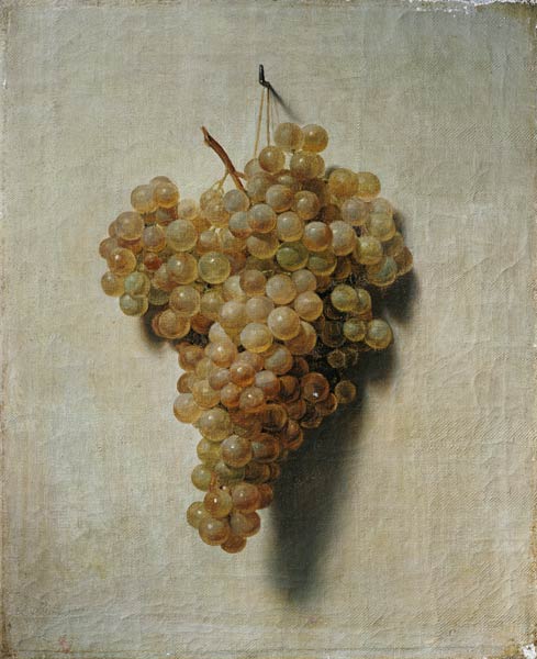 White grapes od Louis-Léopold Boilly