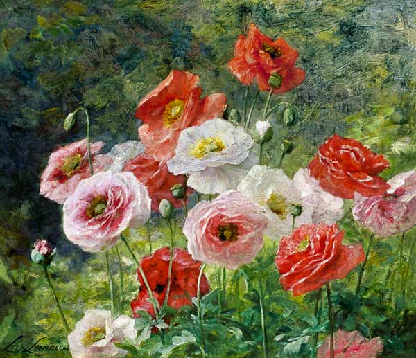 Cluster of Poppies od Louis Marie Lemaire