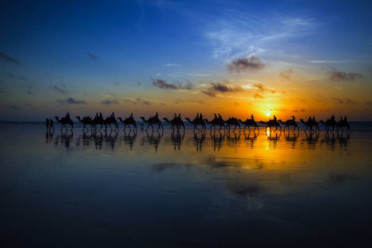 Sunset Camel Ride od Louise Wolbers