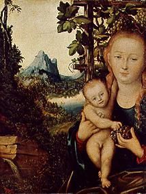 Maria with the child. od Lucas Cranach d. Ä.