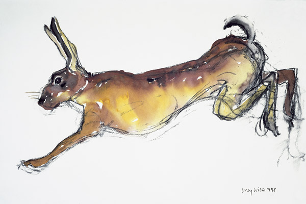 Jumping Hare (w/c & charcoal on paper)  od Lucy Willis