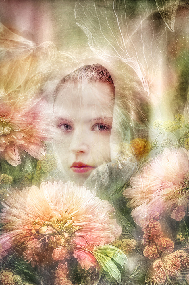 Femme aux chrysanthèmes od Ludmila Shumilova