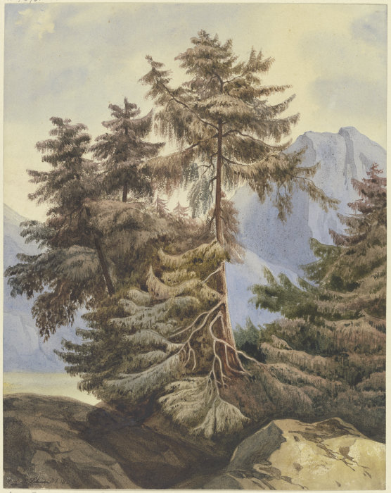 Three fir trees in the mountains od Ludwig Daniel Philipp Schmidt