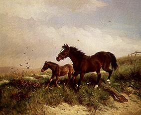 Mare with foals od Ludwig Fay