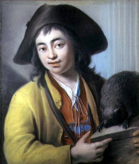 Peasant Boy with a Marmot od Luigi Pitti