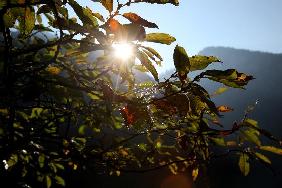 Sonnenaufgang über dem Königssee