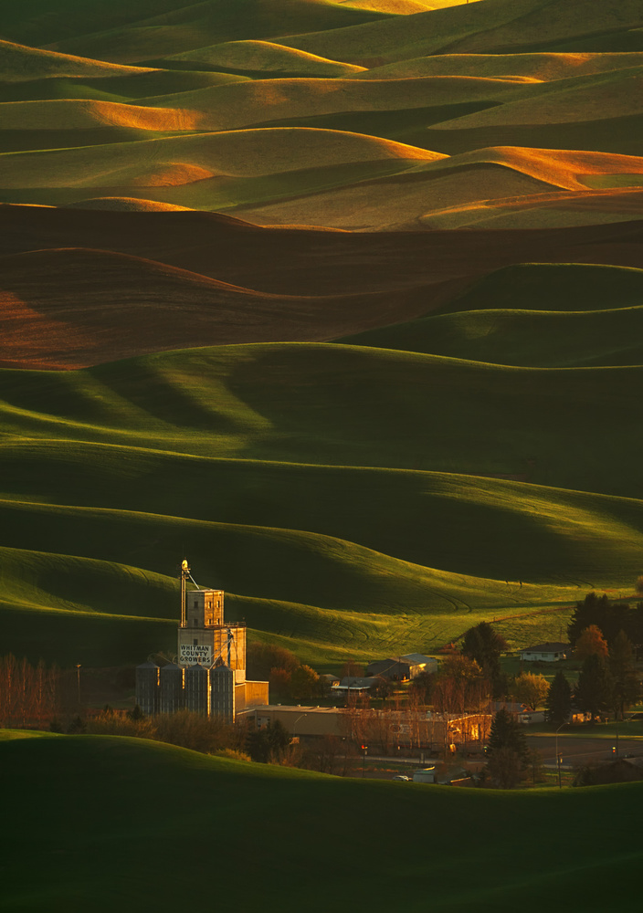 Palouse Rolling Hills od Lydia Jacobs