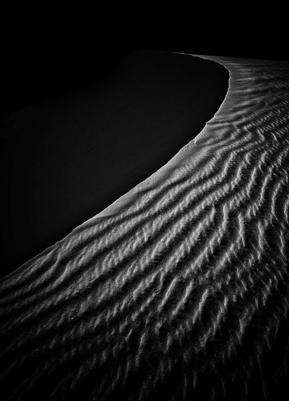Sand Dune od Lydia Jacobs