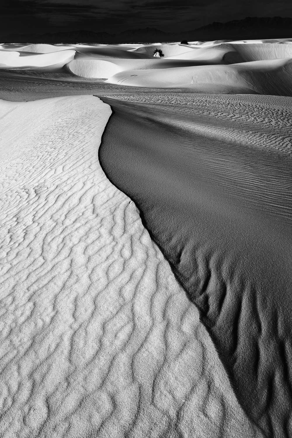Sand Waves od Lydia Jacobs