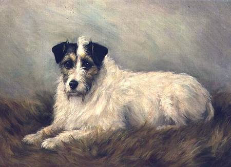 Terrier od Mabel Hastings