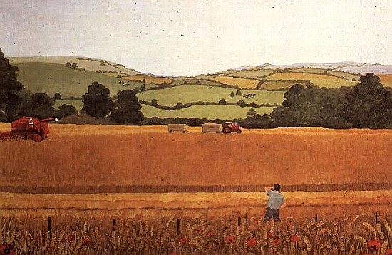Harvesting in the Cotswolds  od  Maggie  Rowe