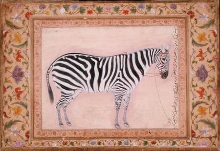 Zebra, from the 'Minto Album' od Mansur