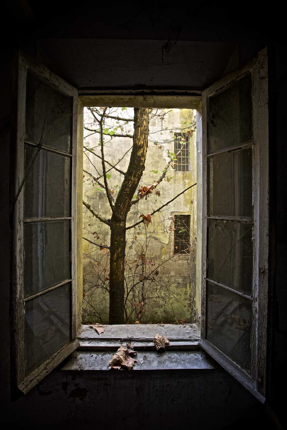 Autumn in asylum od Marco Tagliarino