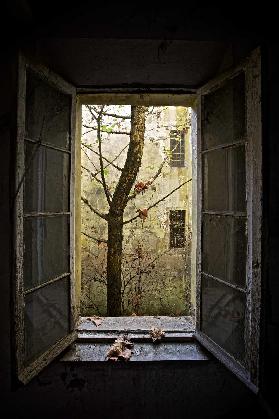 Autumn in asylum