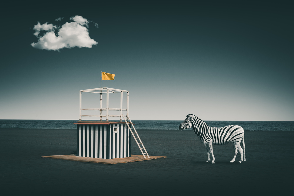 Zebra style od Marcus Hennen