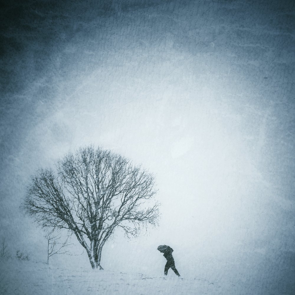 Snow day od Mardin Ahmadi