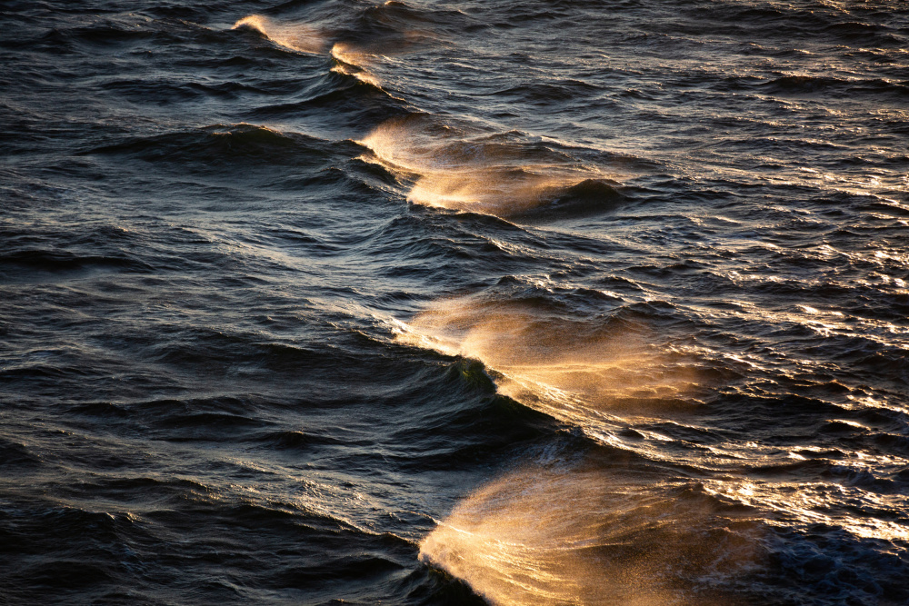 Sunkissed Waves od Mareike Böhmer