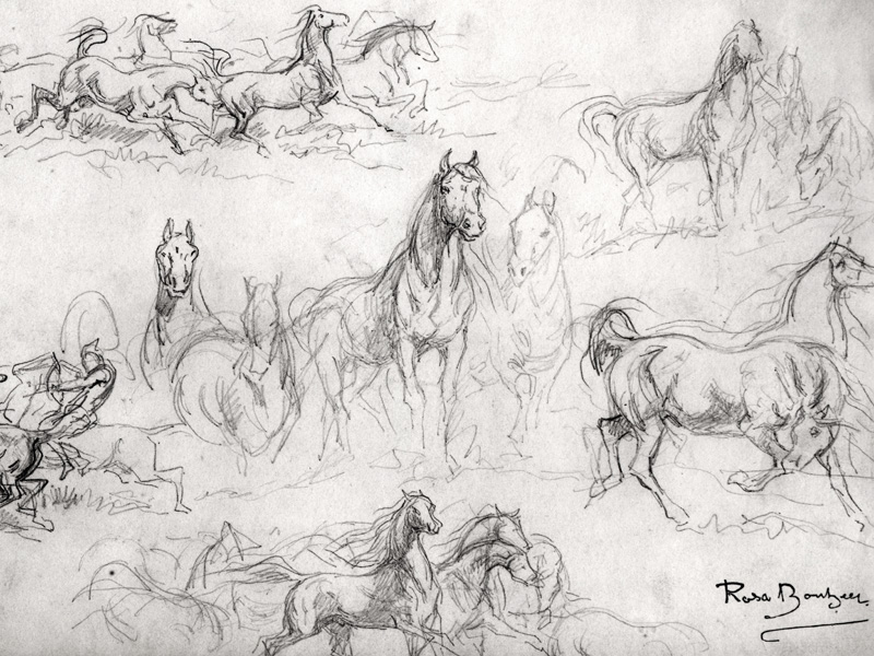 Study of Horses od Maria-Rosa Bonheur