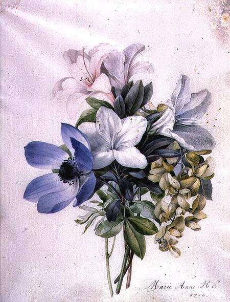 Anemone, wisteria and laburnum od Marie-Anne