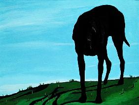 Black Dog at Baker Ridge, 1997 (acrylic on canvas) 