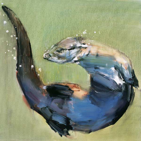 Otter od Mark  Adlington