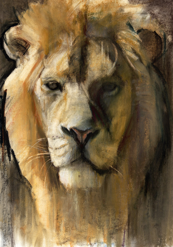 Asiatic Lion od Mark  Adlington