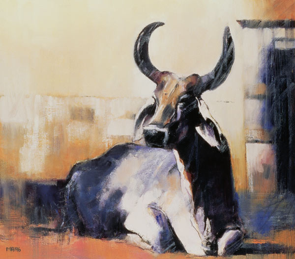 Sacred Cow, Bhuj od Mark  Adlington