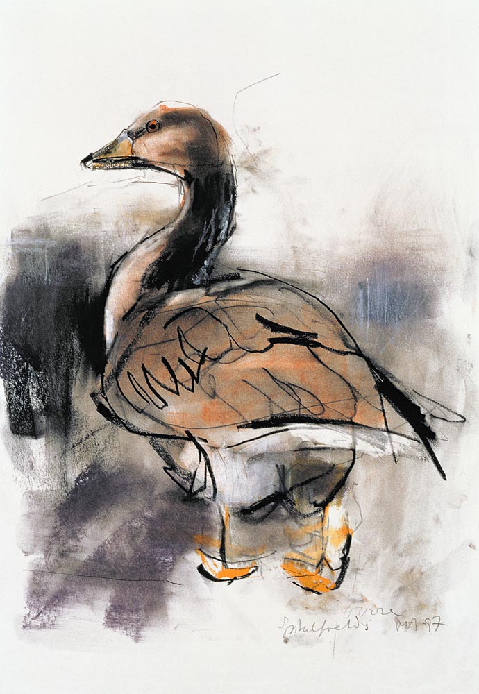 Spitalfields Goose od Mark  Adlington