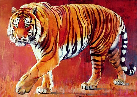 Bengal Tiger od Mark  Adlington