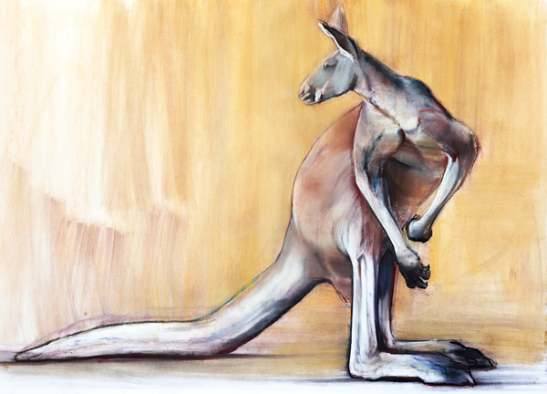 Big Red (Kangaroo) od Mark  Adlington