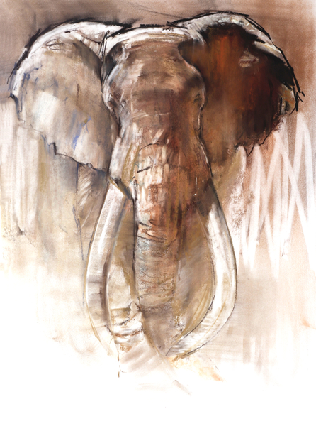 Bull Elephant od Mark  Adlington