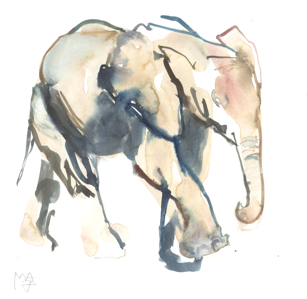 Elephant calf, Loisaba od Mark  Adlington