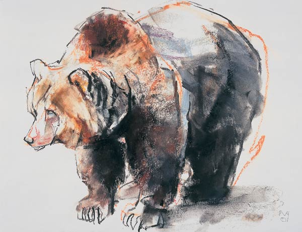 European Brown Bear od Mark  Adlington