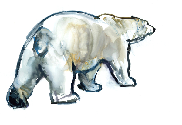 Glacier MInt (Polar bear) od Mark  Adlington
