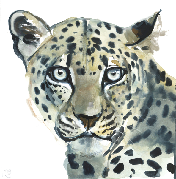 Leopard od Mark  Adlington