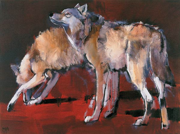 Loups od Mark  Adlington