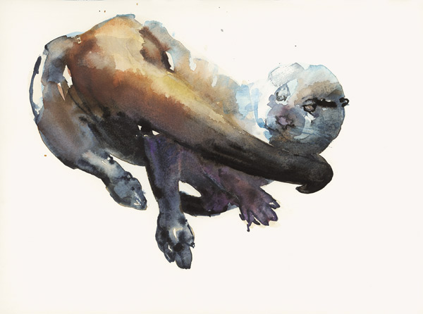 Otter Study I - Talisker od Mark  Adlington
