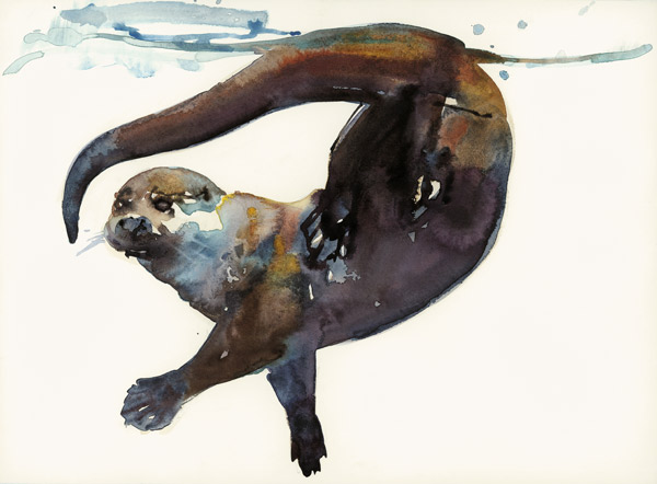 Otter Study II -Talisker od Mark  Adlington