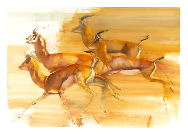 Running Gazelles od Mark  Adlington