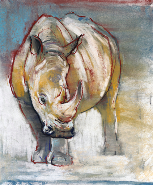 White Rhino, Ol Pejeta od Mark  Adlington