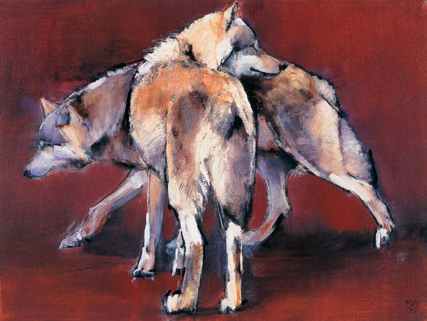 Wolf Composition od Mark  Adlington