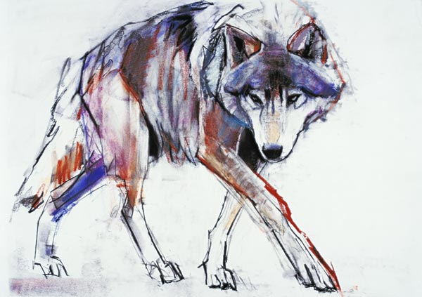 Wolf od Mark  Adlington