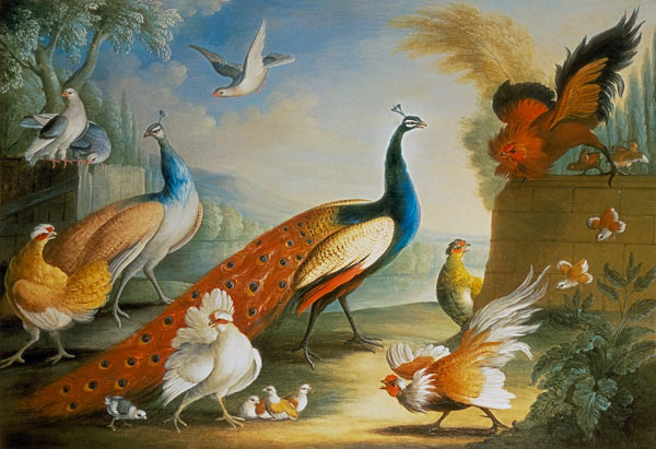 Two Peacocks, Doves, Chickens and a Rooster in a Parkland od Marmaduke Craddock