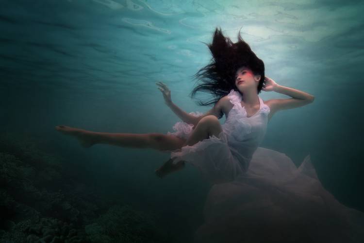 Beneath the Sea od Martha Suherman