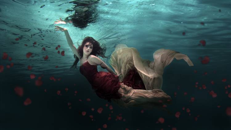Ocean of Roses od Martha Suherman