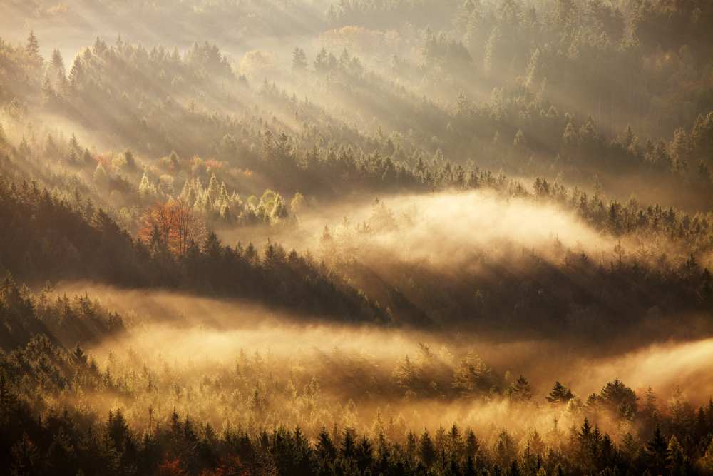 Autumn Rays od Martin Rak
