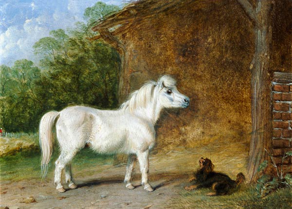 A Shetland pony and a King Charles spaniel (board) od Martin Theodore Ward