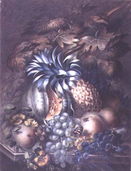 Study of Fruit od Mary Bradley
